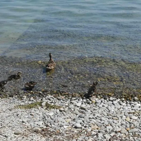 Lake Constance 公寓